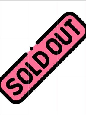 NWT Orange Labubu Cellphone Charm